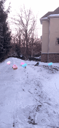 Unity Sglib Games GIF by thedoodlepeople