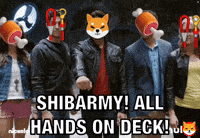 Shiba Inu GIF by SHIB MEMES