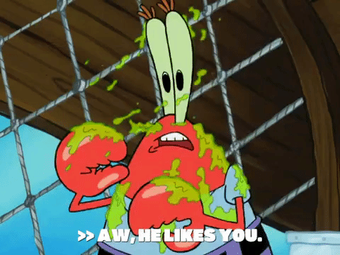season 6 pet or pets GIF by SpongeBob SquarePants