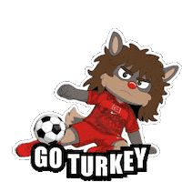 Fifa World Cup Win Sticker