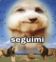 Simone Cane GIF