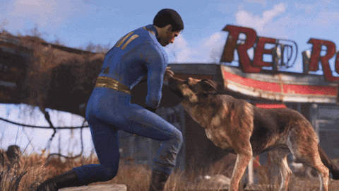 Fallout 4 Pet GIF by Xbox