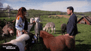 Dont Be Shy Andrea Berg GIF by ZDF