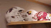 big cat pft GIF by Barstool Sports