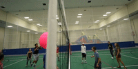 GIF by Northern Illinois University