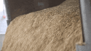 yamglutenvrij food wave golf truck GIF