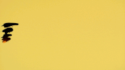 beck life colors beck dear life GIF