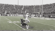 Touchdown Ucf GIF by SoFloBulls