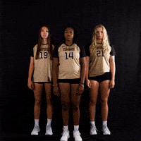 Volleyball Seniors GIF by Purdue Fort Wayne Athletics