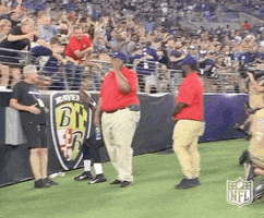 Celebrate Baltimore Ravens GIF by NFL