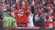 Regular Season Football GIF by NFL