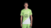 Sport Thumbs Up GIF by VfL Wolfsburg