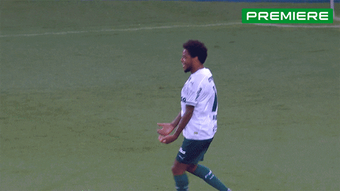 Serie A Adriano GIF by Canal Premiere