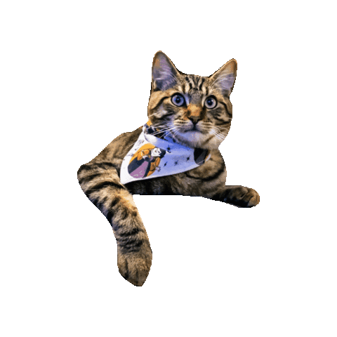Cat Sticker by Geekster Pets