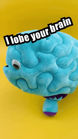 Funny Brain GIF by I Heart Guts