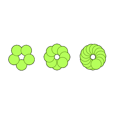 Festival Welcometoparadise Sticker by lapuntafun