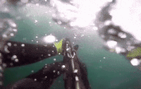 GIF by Mashable