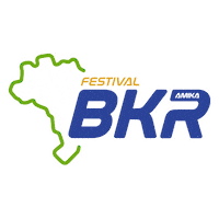 Rr Kart Sticker by amika.kart