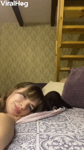 Ferret Grabs Owner By The Nose GIF by ViralHog