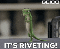 Sarcasm Wow GIF by GEICO
