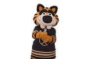 Happy Ice Hockey Sticker by NHL