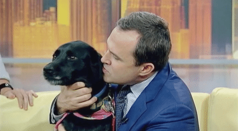 greg kelly kiss GIF by Good Day New York