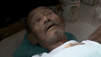 tingtinglu giphyupload GIF