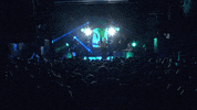 GIF by Parachute