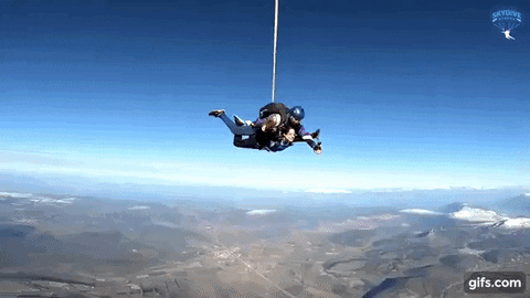 giphyupload GIF