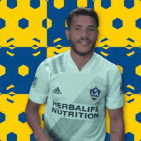 Los Angeles Ok GIF by Major League Soccer