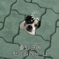 Dog Work GIF