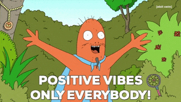 No Drama Yolo GIF by Adult Swim