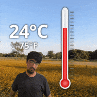 24 C GIF