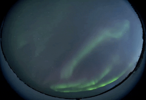 Aurora Borealis Green Lights GIF by Storyful