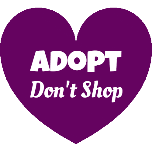 Adopt Save A Life Sticker by Foster Bubbies