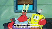 season 9 GIF by SpongeBob SquarePants
