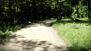 picnic point running GIF by uwmadison