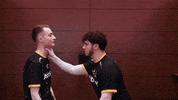 Rainbow Six R6 GIF by Wolves Esports