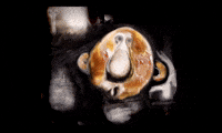 Little Brother Face GIF by Alex Boya