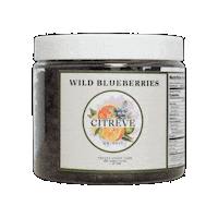 citreve freezedried citreve wildblueberries citrevewildblueberries Sticker