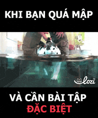 nguyen GIF by Lozi Singapore Co.