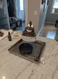 Bok GIF