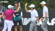 High Five Hole-In-One GIF by LIV Golf