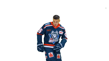 Huskie Sticker by EC Kassel Huskies