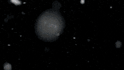 Schitts Creek Love GIF