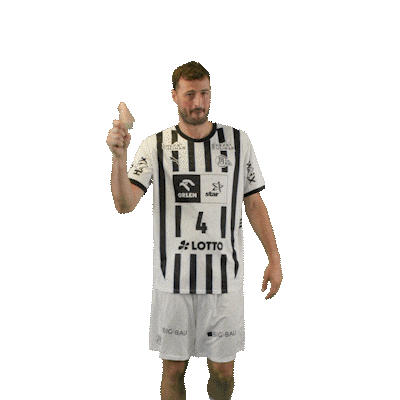 Handball Kiel Sticker by DAIKIN HBL