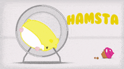 comedy lol GIF by hamsta.world