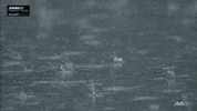 Racing Raining GIF by MotoGP™