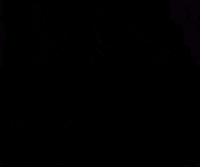 The Animated Series GIF by Star Trek