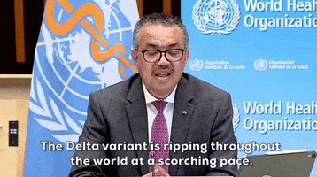 Covid19 GIF by GIPHY News